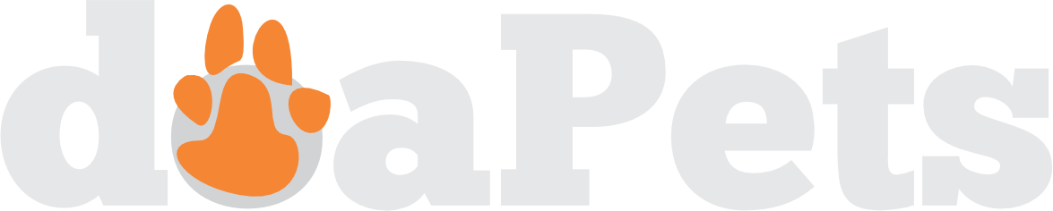 IrCoin Logo