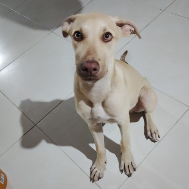 Marley